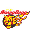 广东华南虎logo